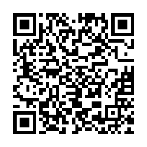 所以那六株进阶要比真水峰和水火谷灵地的这十株进阶慢了不少二维码生成