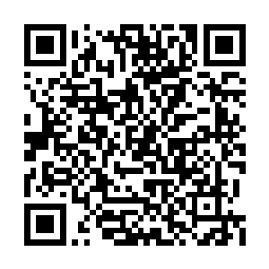 所以那几人藏在王府公主府内…反而是最安全的二维码生成