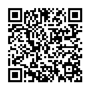 所以郭道友祭出的魂魄一见到我们才会如此惧怕二维码生成