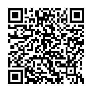 所以金藤只是被他当做了一件普通的灵宝来使用二维码生成