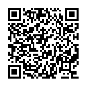 所以闻言只是很场面化地跟夏云杰轻轻握了下手二维码生成