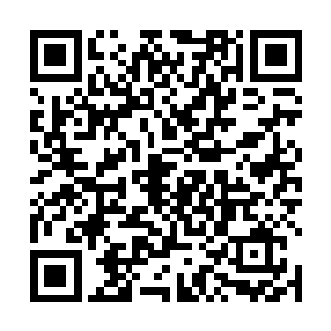 所以陆为民原本有意要在全区干部中开展一次小班轮训二维码生成