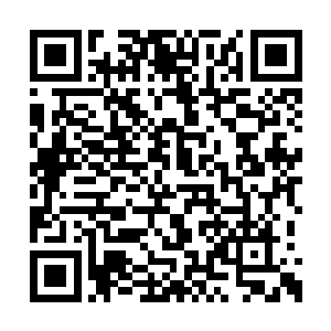 所以陈凌到现在还不知道正处在涅槃的状态之中二维码生成