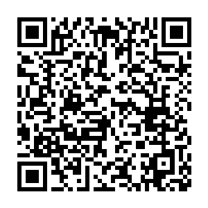 所以院子除了那几个忙活着摆木棍的人以外都欣赏到了凌菲的变脸二维码生成