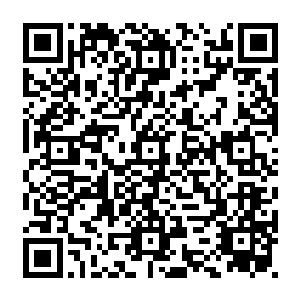 所以院长决定了只要这一次比赛能够撑到最后的人都已可以进入到不归塔之中修炼二维码生成