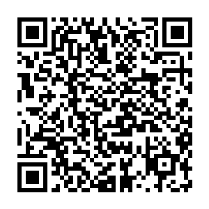 所以除了大祭司之外没有人能够看得见白芷璃和秋意瑟两人是在站着的二维码生成