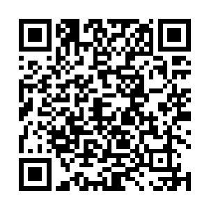所以除了小唐尼之外不会有别人来迎接高扬他们的到来二维码生成