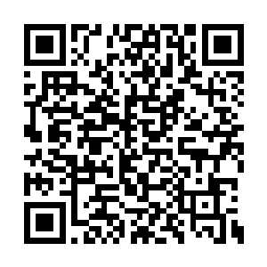 所以雨果得奖时泪流满面的新闻反而是被忽略了二维码生成