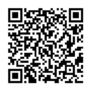 所以雨果能够秉持一个平常心面对面前这一座小山般的剧本二维码生成