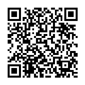 所以雷克斯才根本不在乎自己的四个徒弟这一次押注时会不会输二维码生成