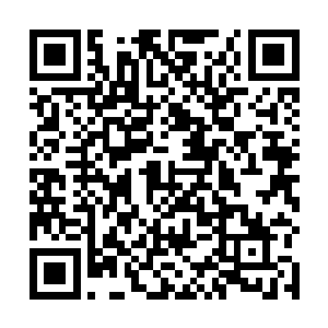 所以雷天就把早已经准备好的那一刀从石壁上砍了出去二维码生成
