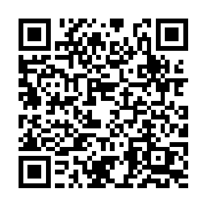 所以雷天就把李东风制作的那块武王令牌拿了出来二维码生成