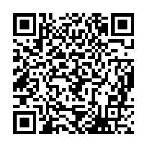 所以雷布罗夫要是让大炮直接在营地附近的炮位发炮二维码生成