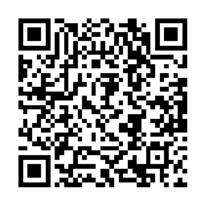 所以需要离宫收集关于路易斯和洛克菲勒家族的情报二维码生成