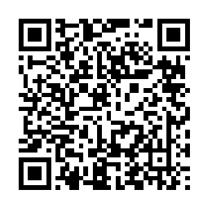 所以需要诚心诚意的感谢上苍赐予人间这样的美味二维码生成