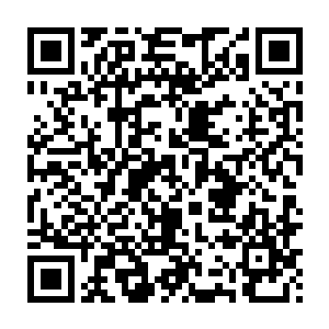 所以青闲在看到云起舞的翅膀比他还要强大的时候才没有吓得屁滚尿流二维码生成