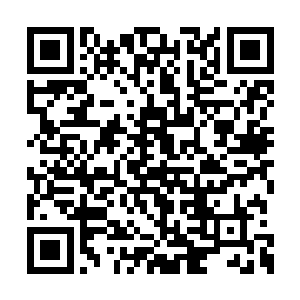 所以马纵横对于张辽如今的缺失并不会大惊小怪二维码生成