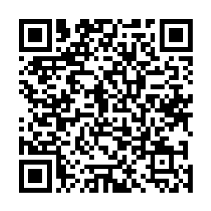 所以高先生一放出去要卖田产的消息就有人来询问价格了二维码生成