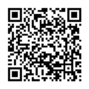 所以高阶修士是不允许直接对境界比自己低的修士下手的二维码生成