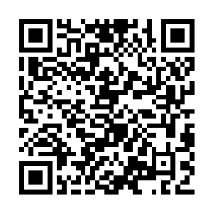 所以龙傲天在第一时间便已经做好了作战的打算二维码生成