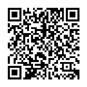 所以龙傲天的声音刚刚落下顿时朝着龙傲天的方向挥出了一剑二维码生成