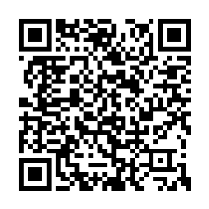 所以龙宇此间倒是隔上一会儿便会立马服用一枚二维码生成