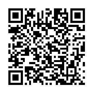 所以龙家不管变成什么样子龙天行的地位永远都不会改变二维码生成