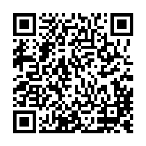 所以龙形五变正是应对龙神八打的不足之处而创出来的奇功二维码生成