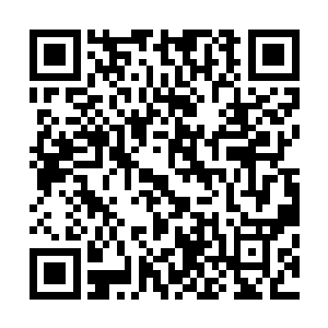 所以龙王抓着路易斯头发的手顿时也是不由的朝着下面一扯二维码生成