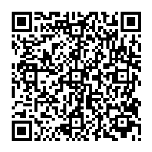 所化的灭世天火是骨皇利用宙斯刚刚使用那空间卷轴所残余的空间力量传送过来的二维码生成