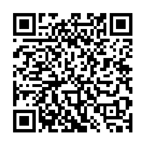 所带起的一阵阵微风把地面的一些树叶给卷在空中随风飘荡着二维码生成