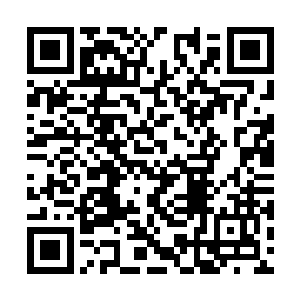 所幸在大学中磨练了一年的成湛宇脸皮异常的厚实二维码生成