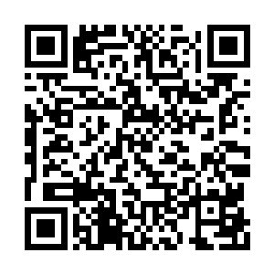 所幸的是西门和东门今日皆无受到太严重的破坏二维码生成