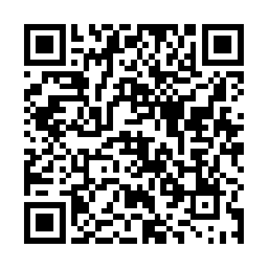 所幸范长后在赴京时带了二十来本奉版刻印的孤本珍本二维码生成