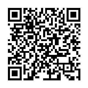 所形成的湮灭风暴几乎是瞬间就毁掉了大半个皇宫二维码生成