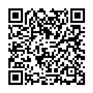 所想远没有成国公府这样的百年勋贵来得深入准确二维码生成