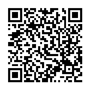 所报出来的价格是经过业务部门和价值评估部门集体讨论出来的二维码生成