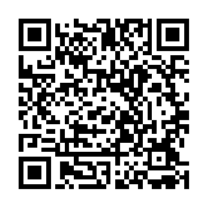 所指的正是出价两瓶四象化元丹和一瓶古圣破极丹的强者二维码生成