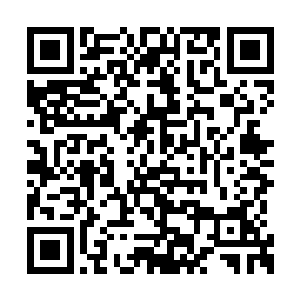 所有一切都会被镀上一层炫丽的让人着迷的光彩二维码生成