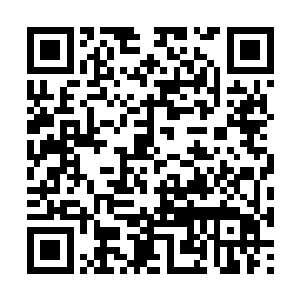 所有与他作对的十宗弟子都是一个个移动的摇钱树二维码生成