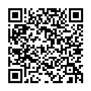 所有东南军区的特种兵都是深受鼓舞地兴奋了起来二维码生成