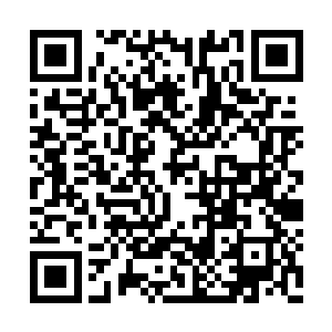 所有人也都将注意力转移到了珠珠跟流光的身上二维码生成