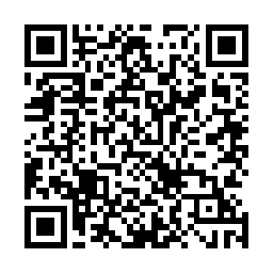 所有人便是看到在那九天之上的战场中这口棺材横在了中间二维码生成