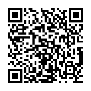 所有人便是看到张启涛手上拿着的那一盒粉笔盒掉落在了地上二维码生成