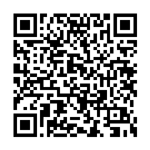 所有人包括张大教主都劝他当一个安静的美男子二维码生成