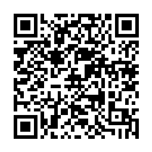 所有人只能听到烟尘深处传来少年如魔王般的狂笑二维码生成