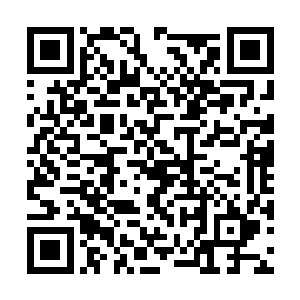 所有人对于龙傲天的实力也是有了一个更深的认识二维码生成