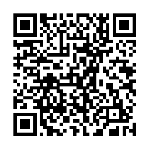 所有人就商量着要在遗迹峡谷之中建立一个宏伟的祭坛二维码生成