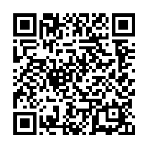 所有人就眼睁睁看着一条真龙在他手中烧成白骨二维码生成