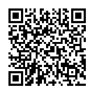 所有人屏住呼吸紧张的看着不远处的来者不善的捕猎者二维码生成